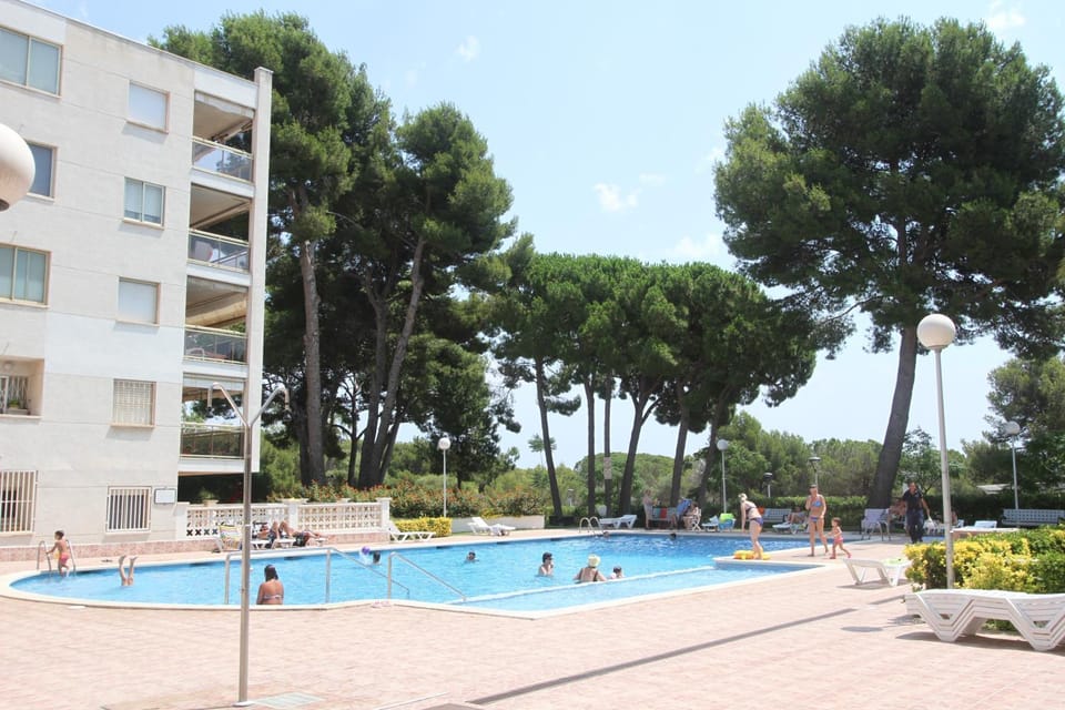 Swimming pool, Swimming pool