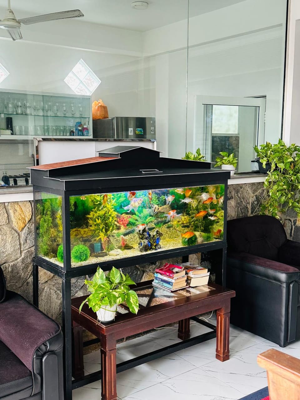 Funwhales Rest House Bed and Breakfast in Negombo
