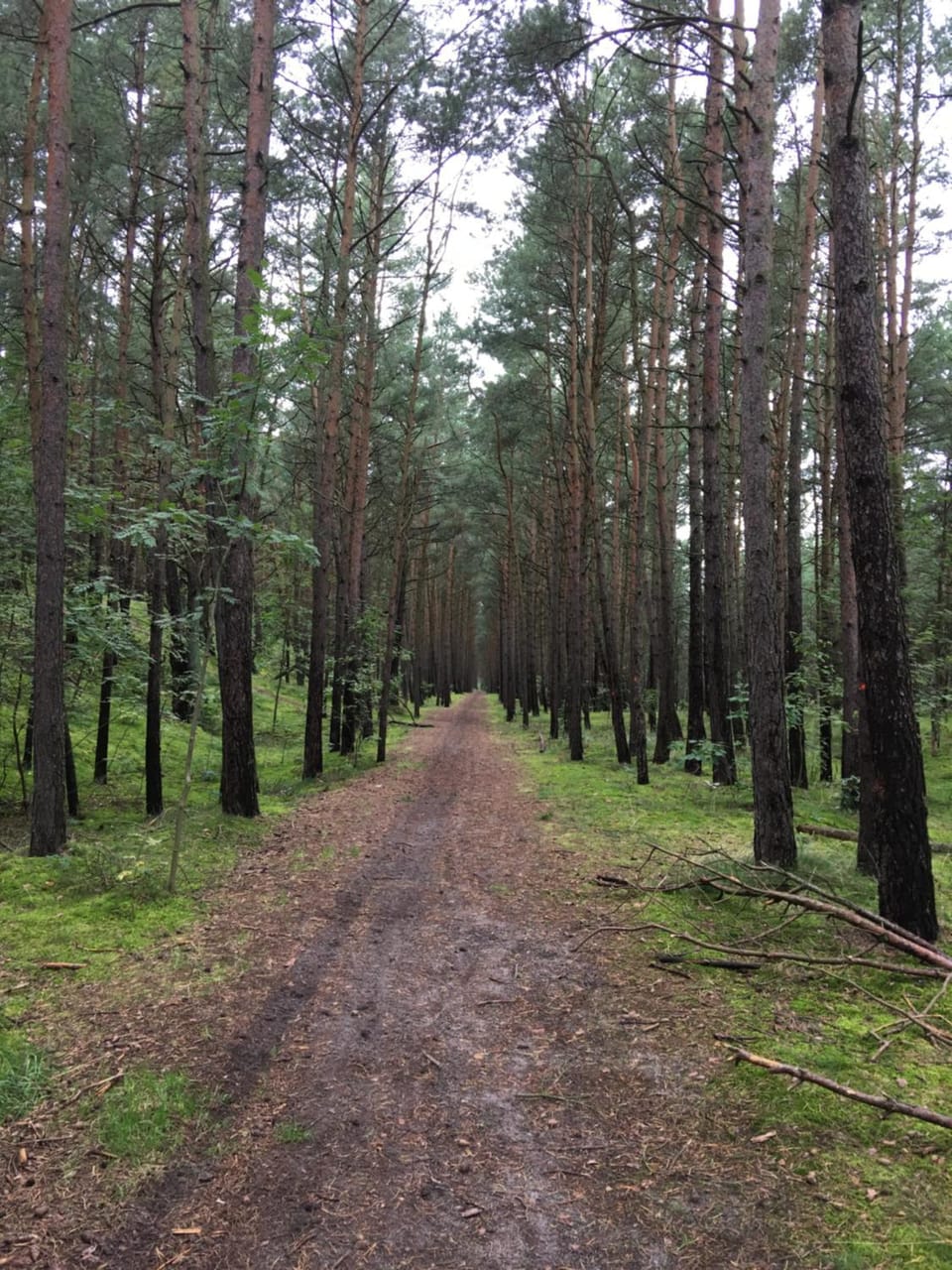Neighbourhood, Natural landscape