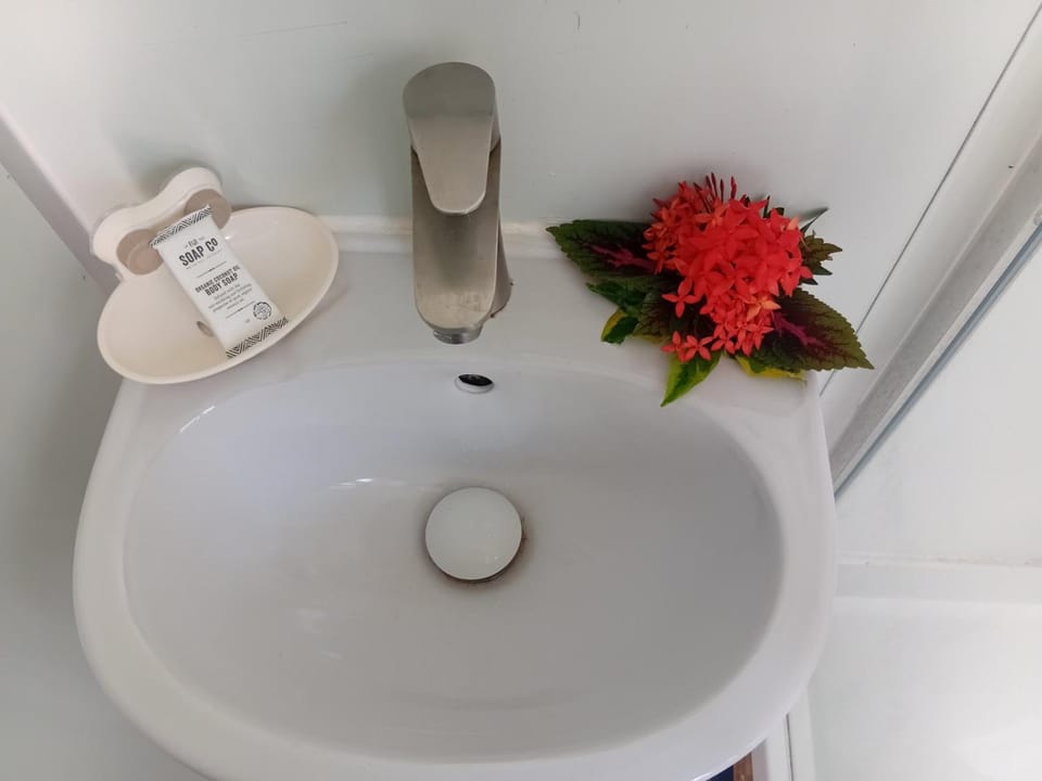Shalini Garden Hotel & Apartments Apartment in Baravi