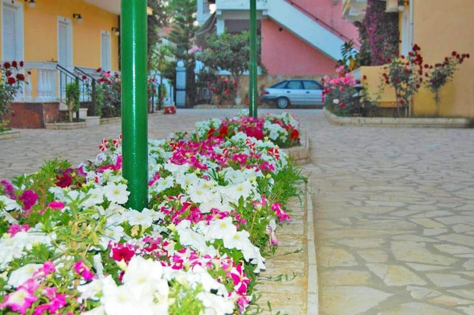 Garden, Balcony/Terrace, Decorative detail, Garden view