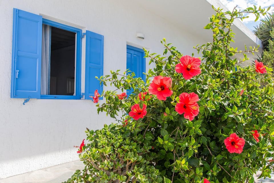 Mykonos Vouniotis Rooms Bed and Breakfast in Mykonos