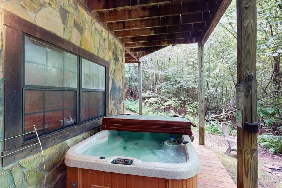 A Bear Pause House in Georgia
