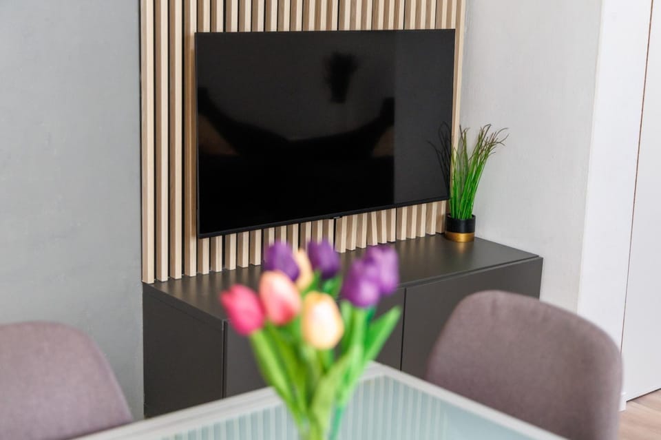 TV and multimedia