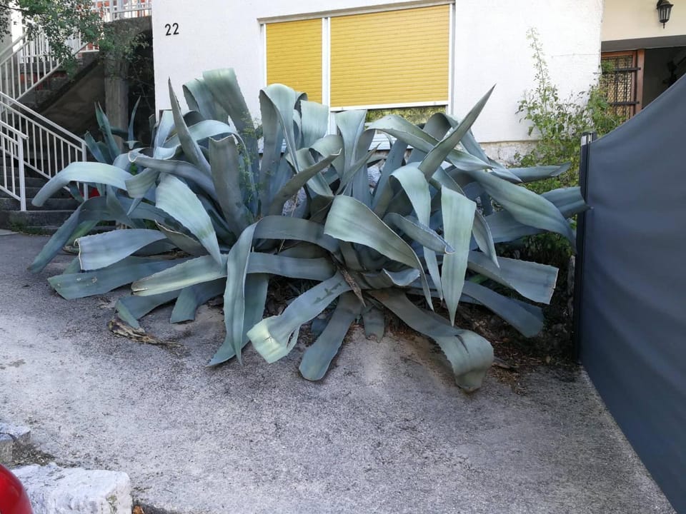 Neighbourhood, Natural landscape