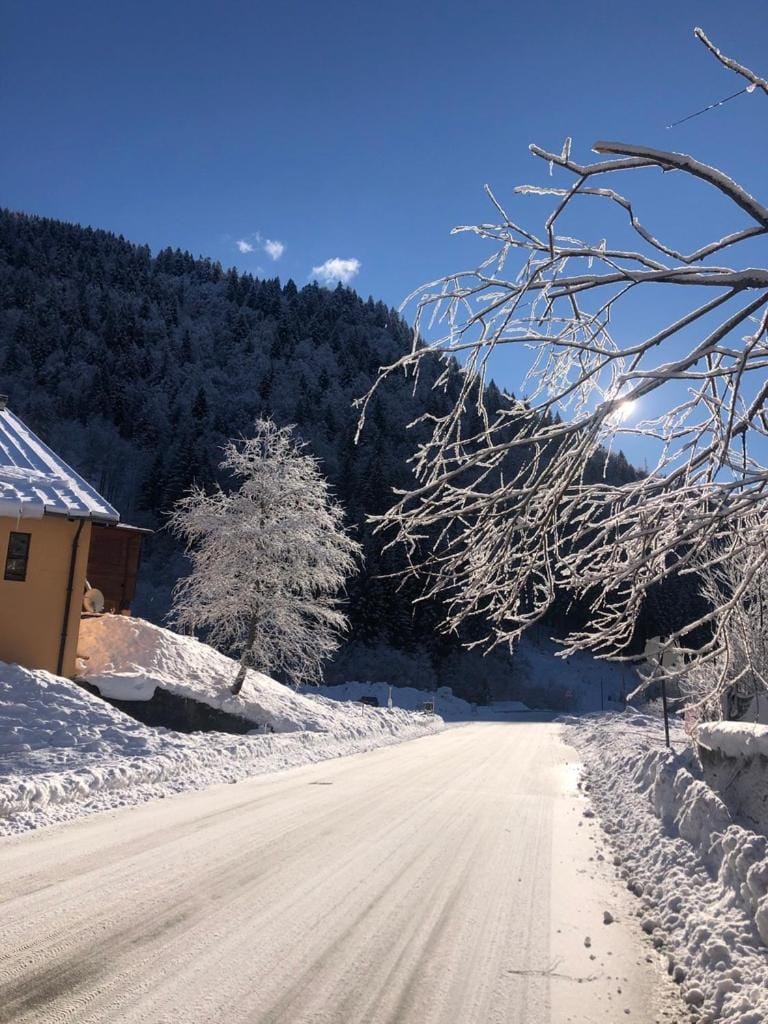 Ex Funivia Lussari Apartment in Friuli-Venezia Giulia