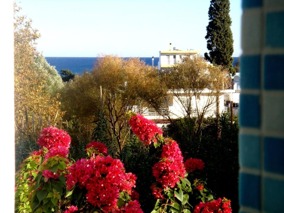 Bathroom, View (from property/room)