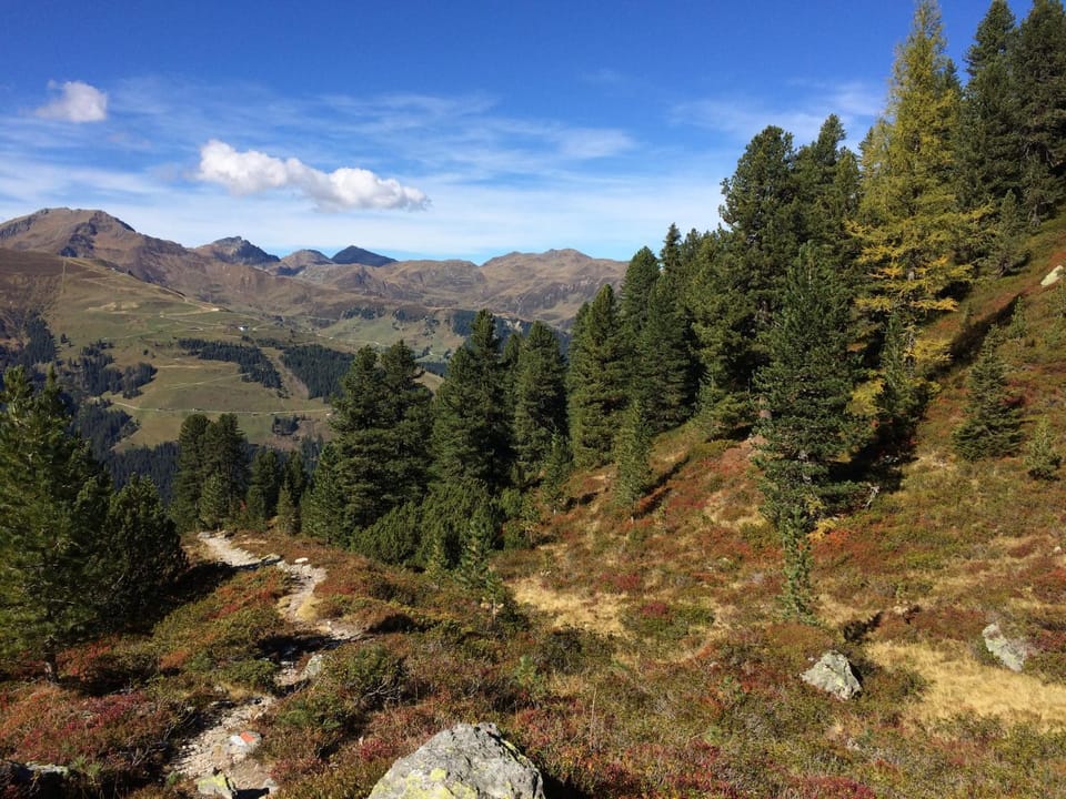 Natural landscape, Hiking, Autumn, Mountain view