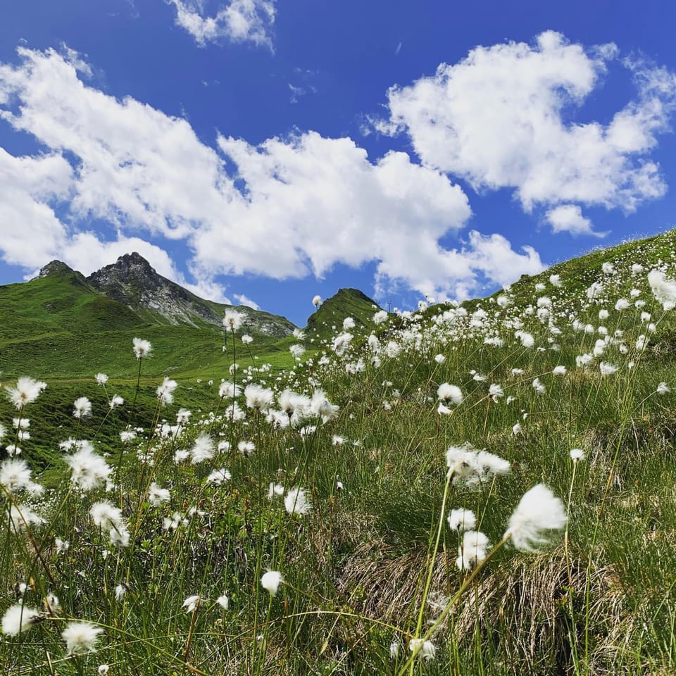 Natural landscape, Summer, Hiking