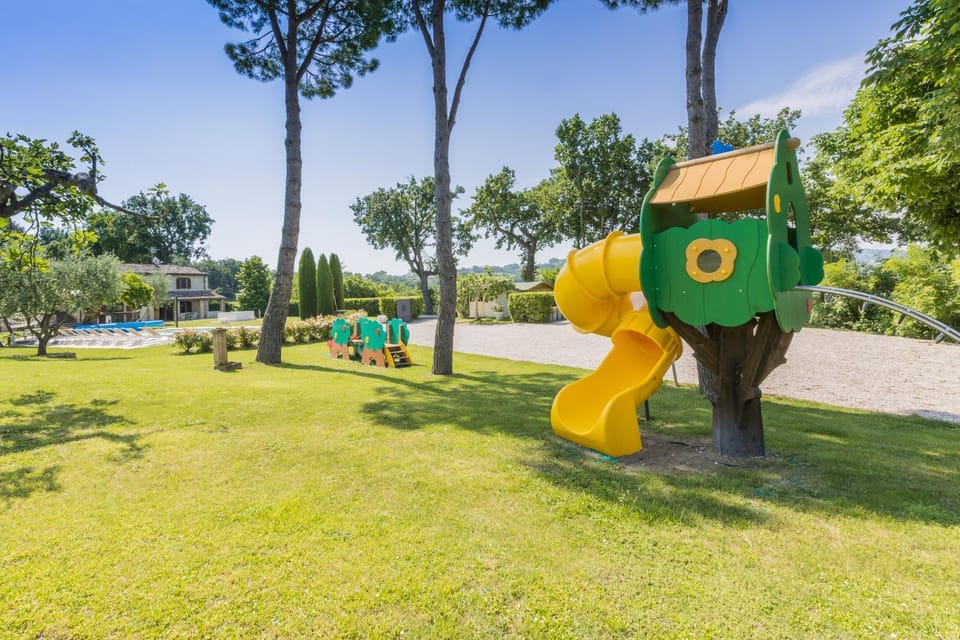 Children play ground