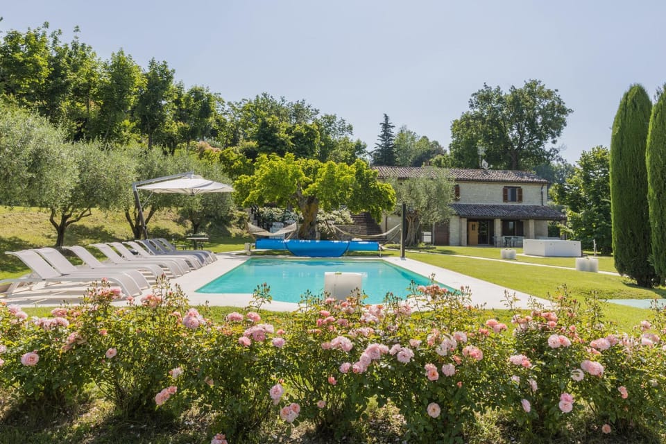 Garden view, Pool view