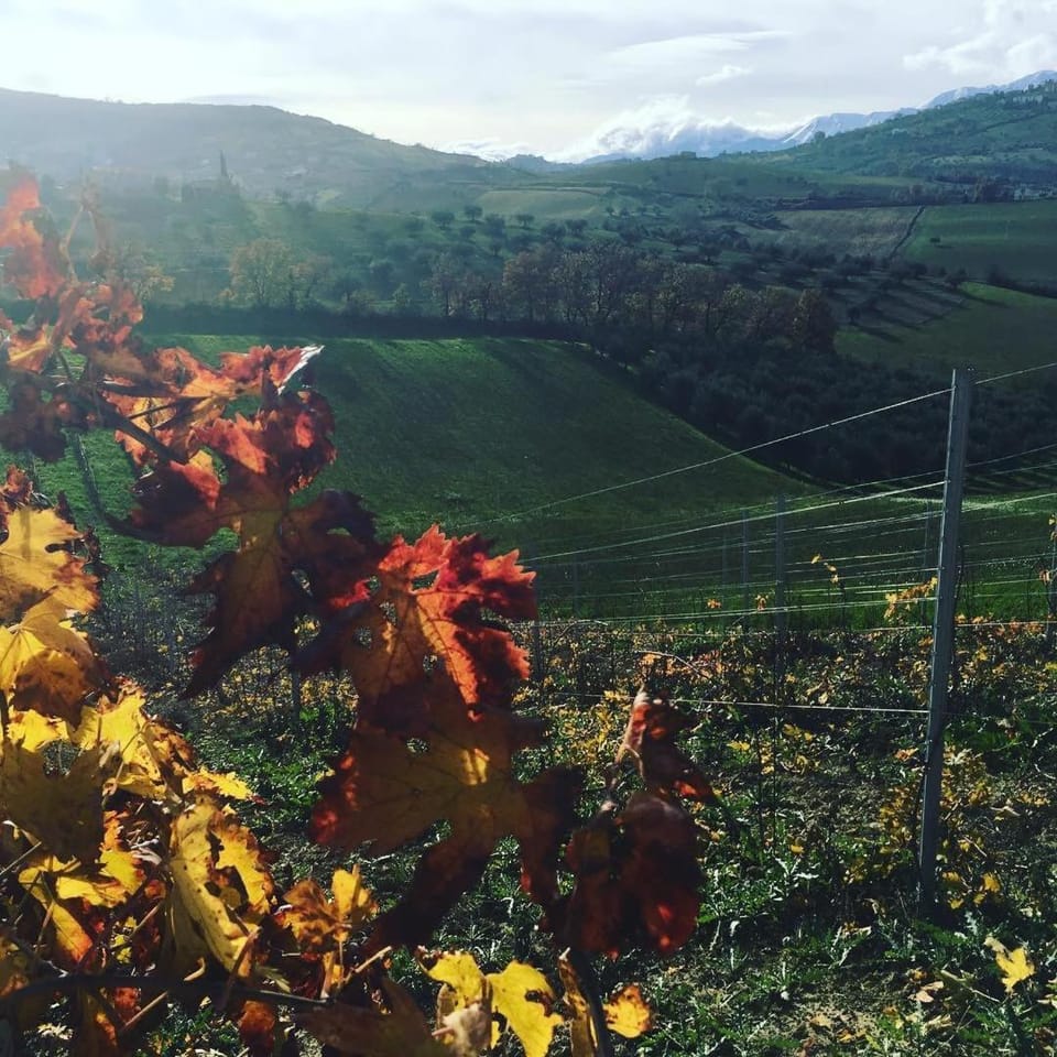 Azienda Agricola Perconti Farm Stay in Abruzzo