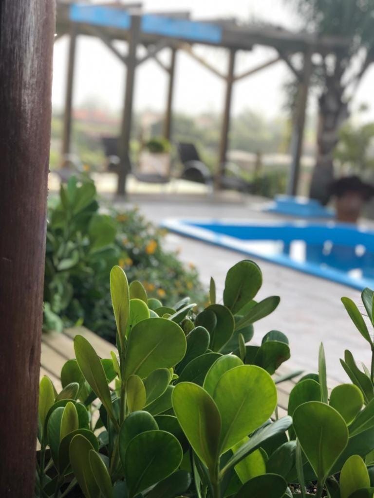 Pool view