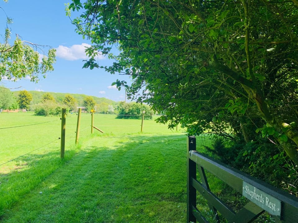 Bells Meadow Shepherds Hut Campground/ 
RV Resort in England