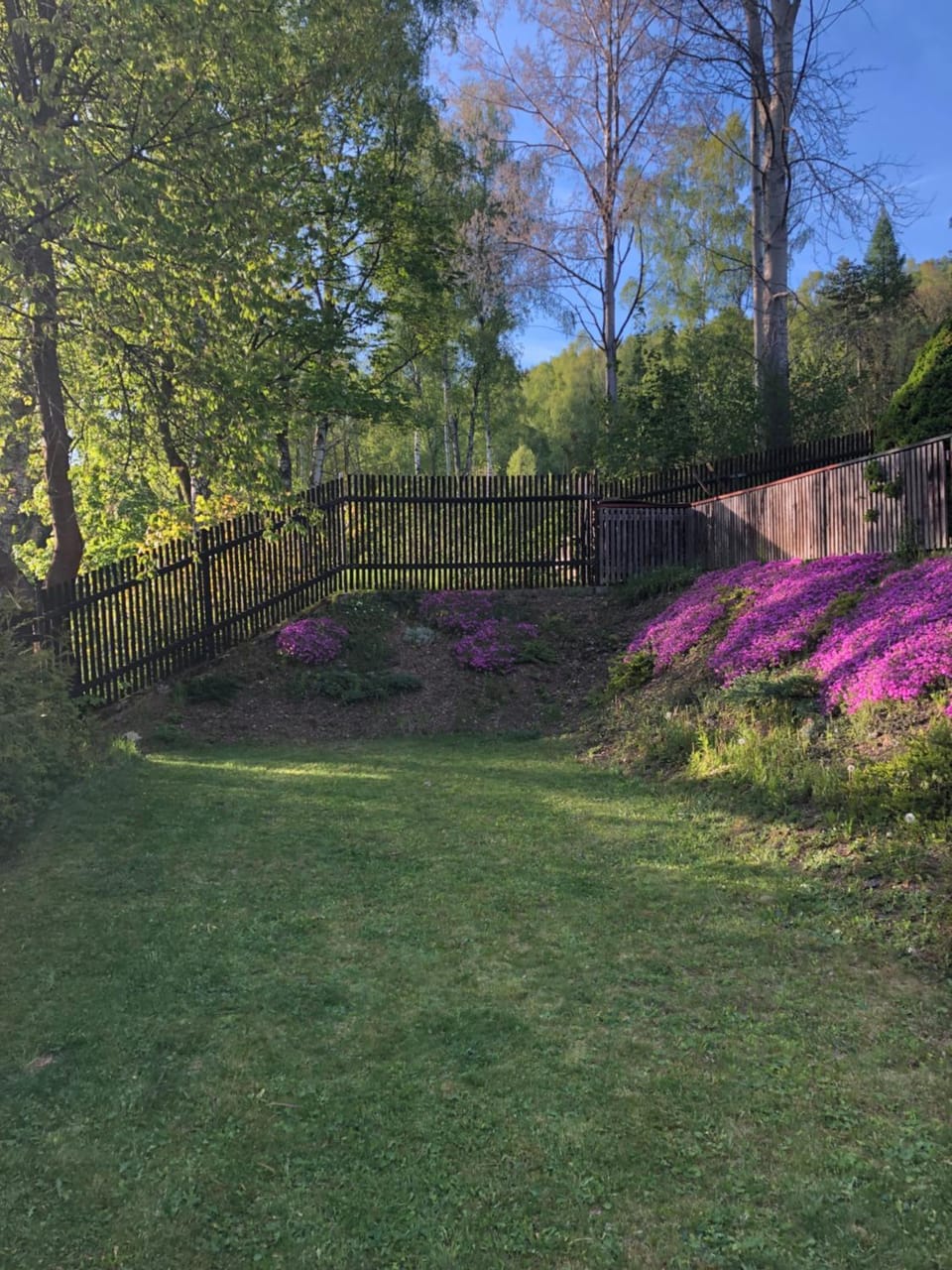 Penzion Tereza Bed and Breakfast in Thuringia, Germany