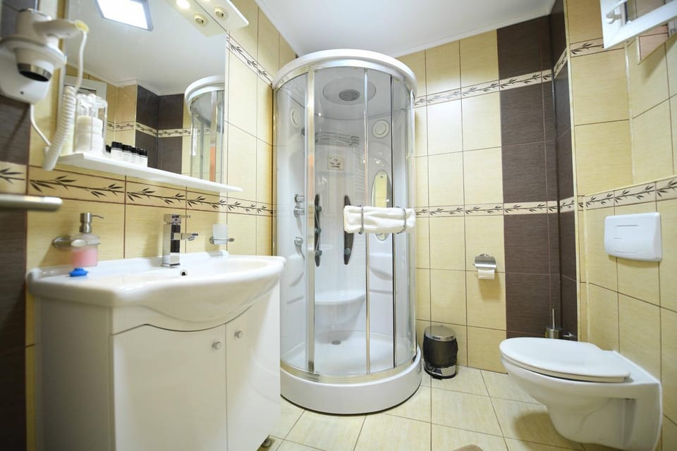 Pensiunea Trident Bed and Breakfast in Serbia