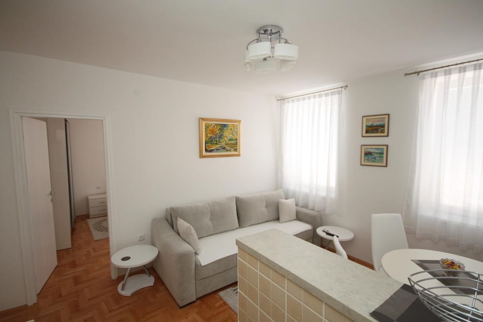 Apartment Harmony Apartment in Zlatibor District, Serbia