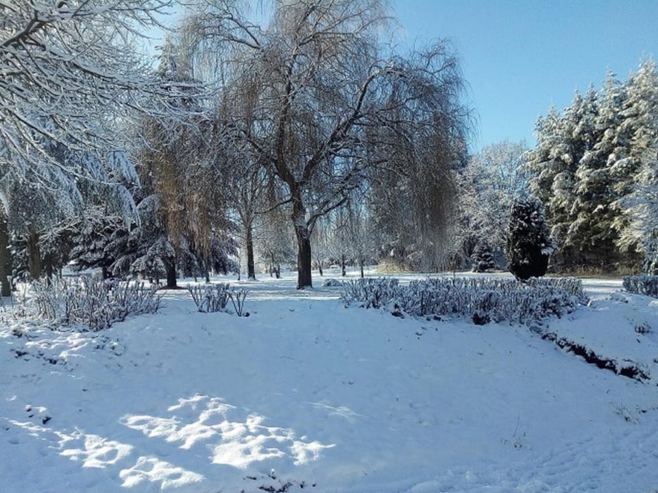 Natural landscape, Winter, View (from property/room), Street view
