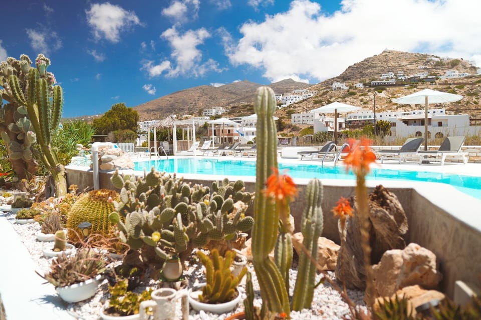 Garden, Garden, Garden view, Swimming pool