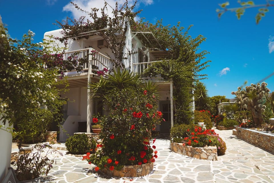 Garden, Garden, Garden view
