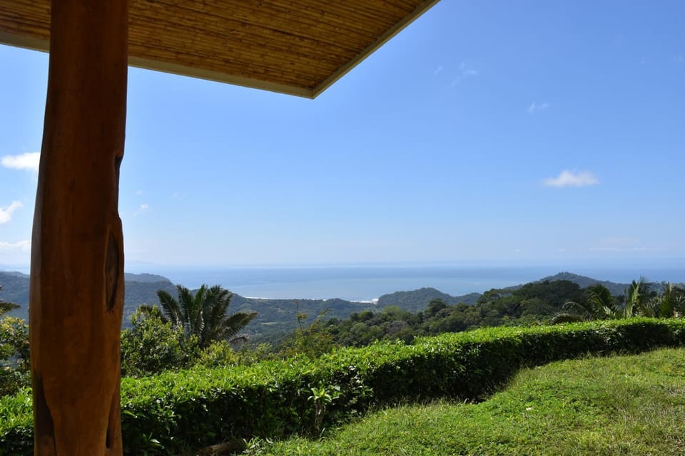 Natural landscape, Garden view, Mountain view, Sea view