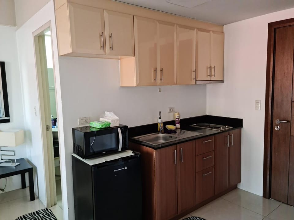 Kitchen or kitchenette, minibar, stove