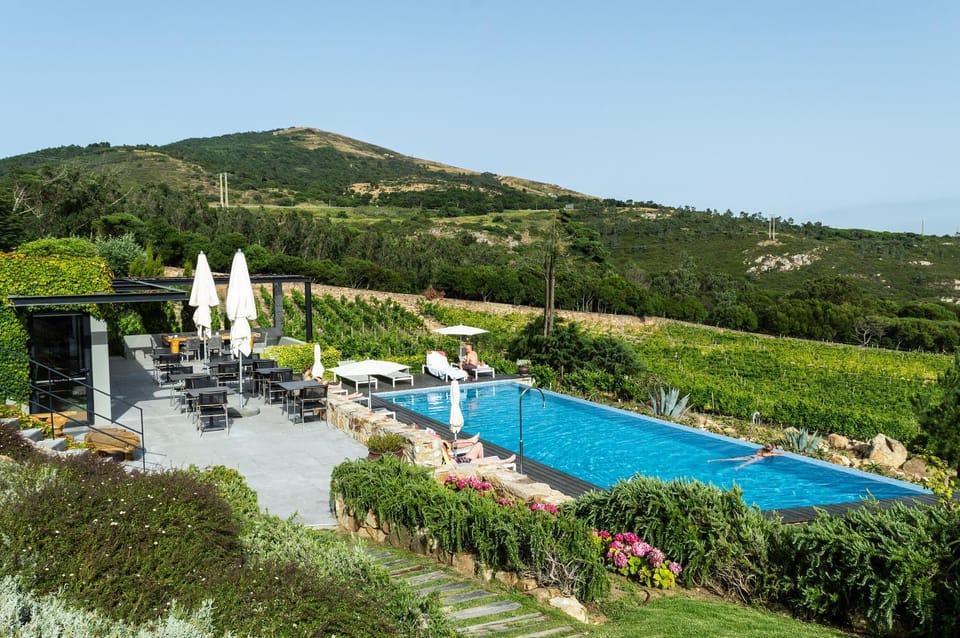 View (from property/room), Swimming pool