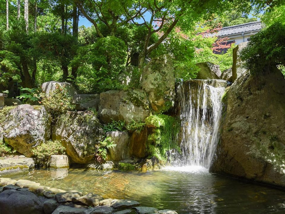 Restaurant/places to eat, Natural landscape, Garden, Garden view