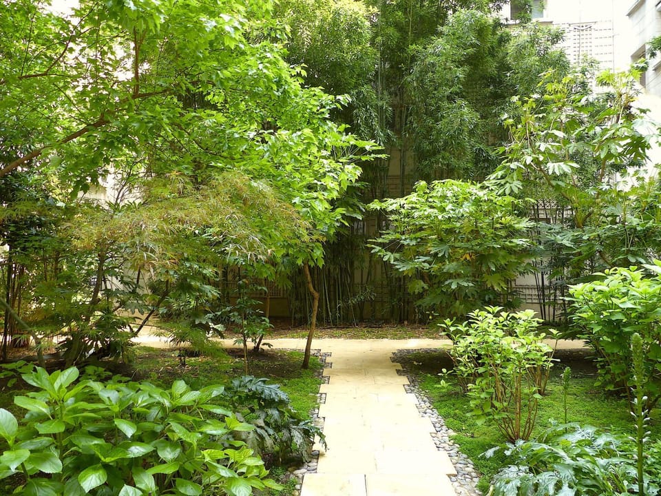 Natural landscape, Garden view