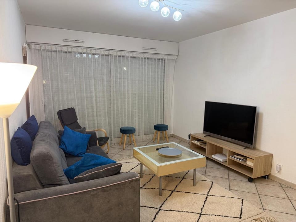 Appartement CITY CENTER-SALLANCHES Apartment in Haute-Savoie