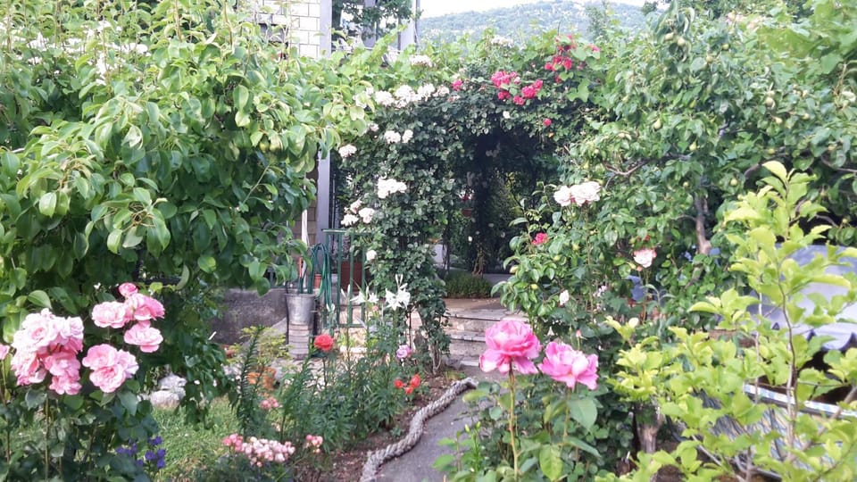 Apartments Frkovic Apartment in Primorje-Gorski Kotar County