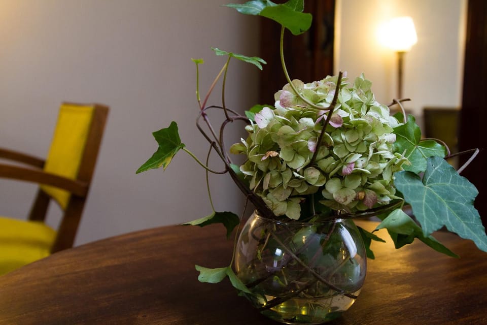 Wazemoff Bed and Breakfast in Lille