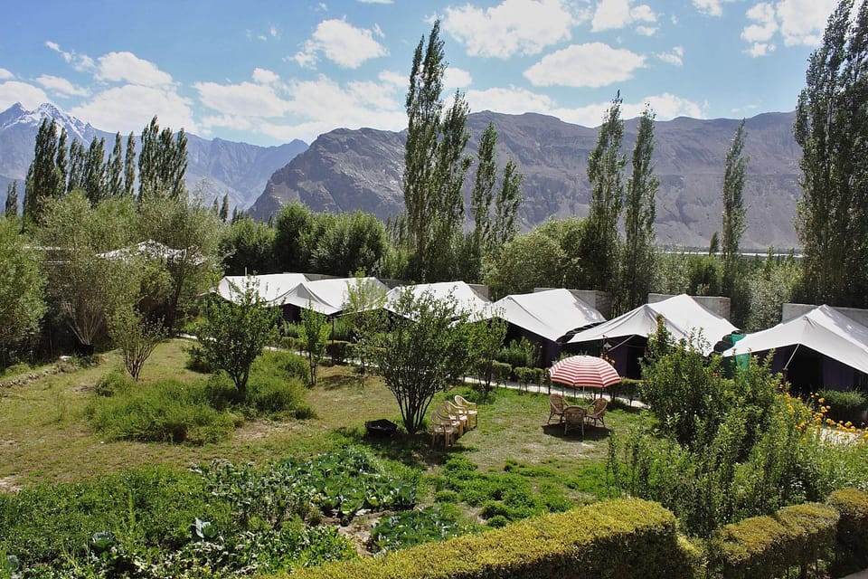 Tiger Camp Nubra Campground/ 
RV Resort in India