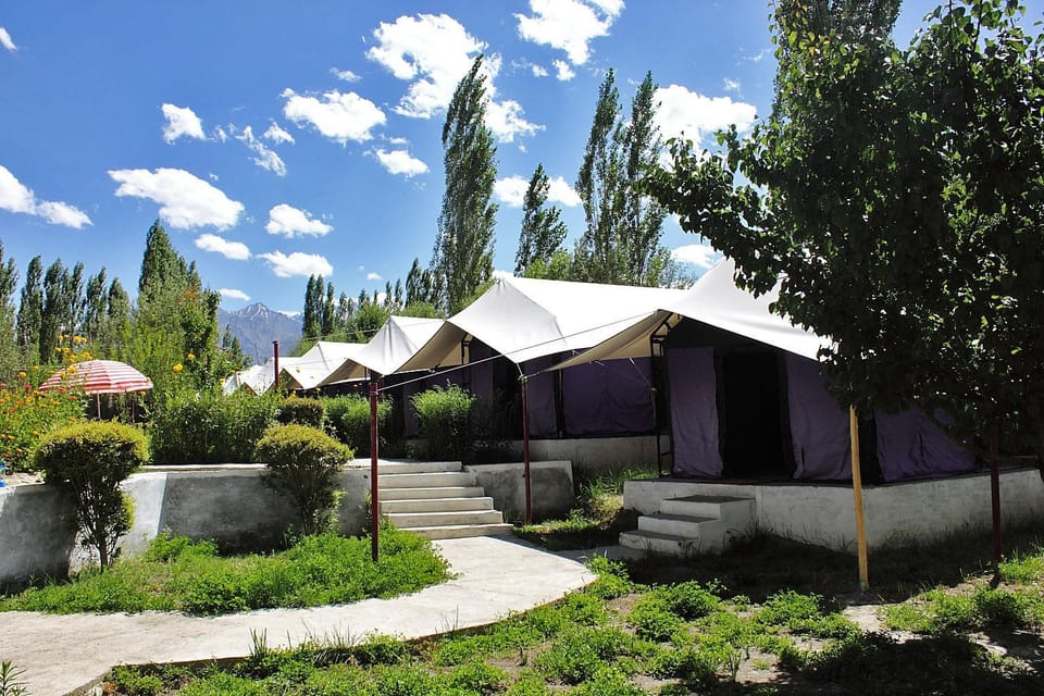 Tiger Camp Nubra Campground/ 
RV Resort in India