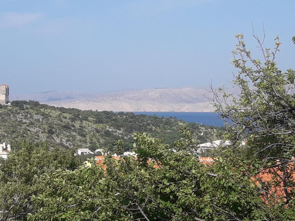 Nearby landmark, Neighbourhood