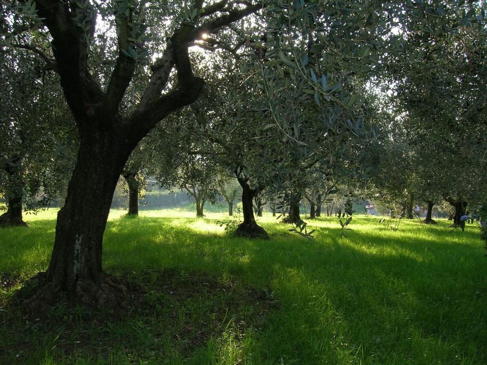 Garden, On site
