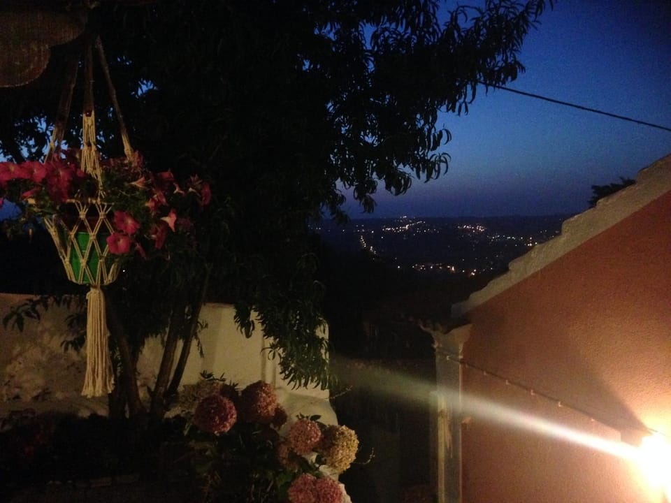Garden view