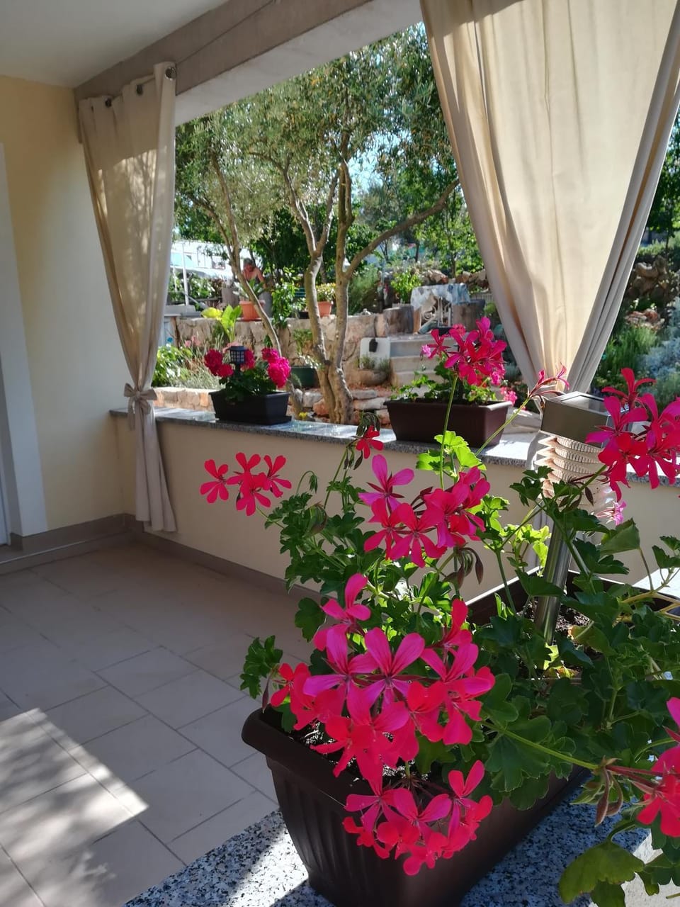 Garden view