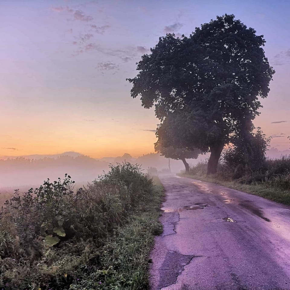 Natural landscape