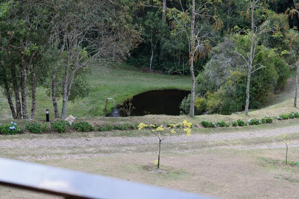 Natural landscape, BBQ facilities, Balcony/Terrace, Lake view