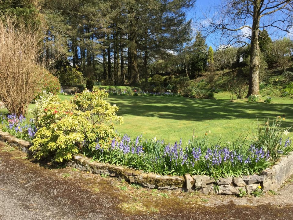 Garden, Garden, Other