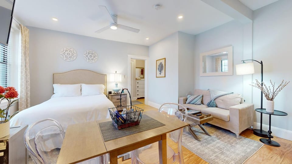 Renovated, Spacious Studio, Near Bc, Bu, Porch Apartment in Brookline
