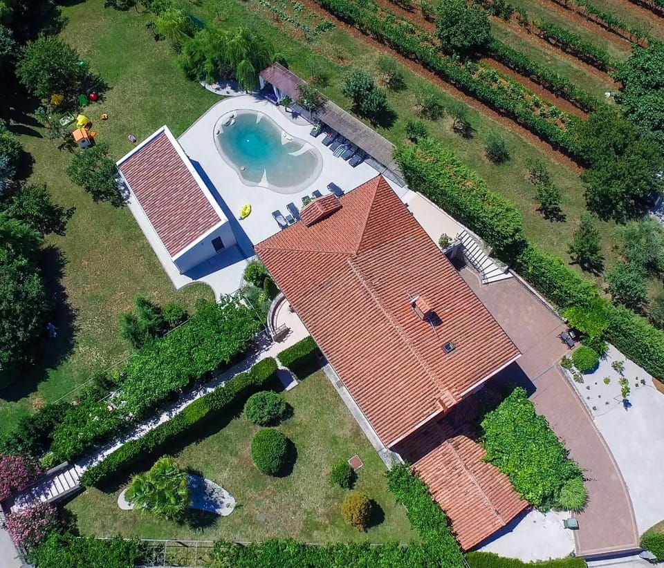 Property building, Bird's eye view
