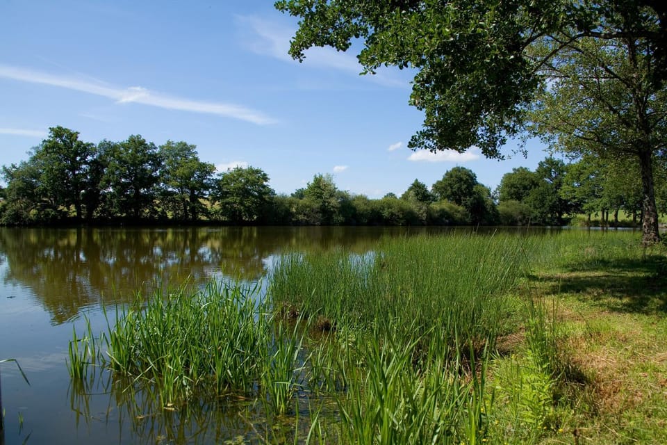 Lake view