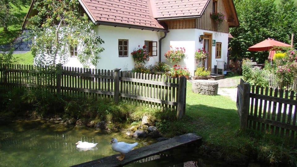 Property building, Summer