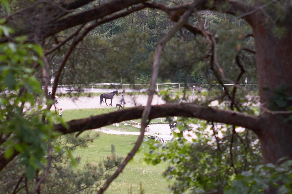 Natural landscape, Activities, View (from property/room)