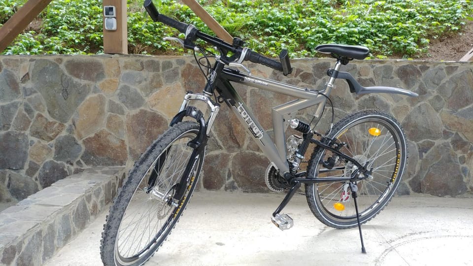 Day, Cycling