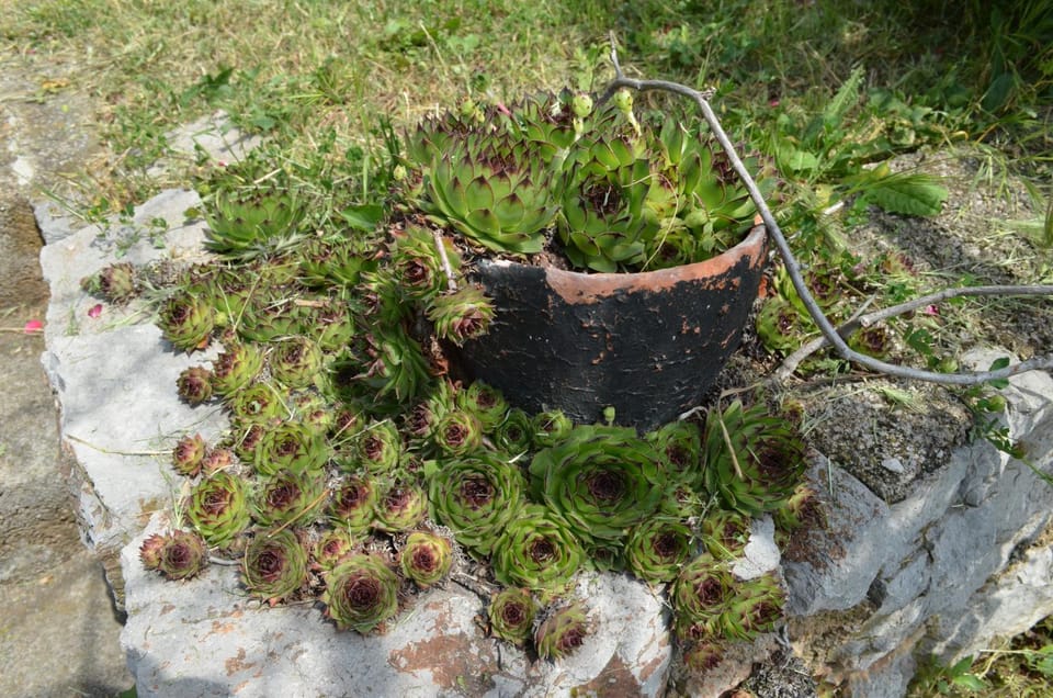 Villa Biondina Apartment in Lika-Senj County