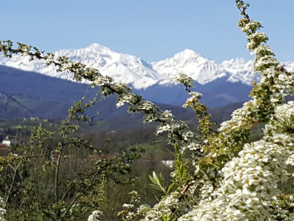 Chambres d'hôtes St Jacques Adults only Bed and Breakfast in Occitanie