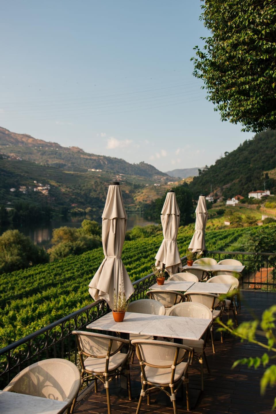 Quinta de S.Bernardo - Winery & Farmhouse Farm Stay in Porto District